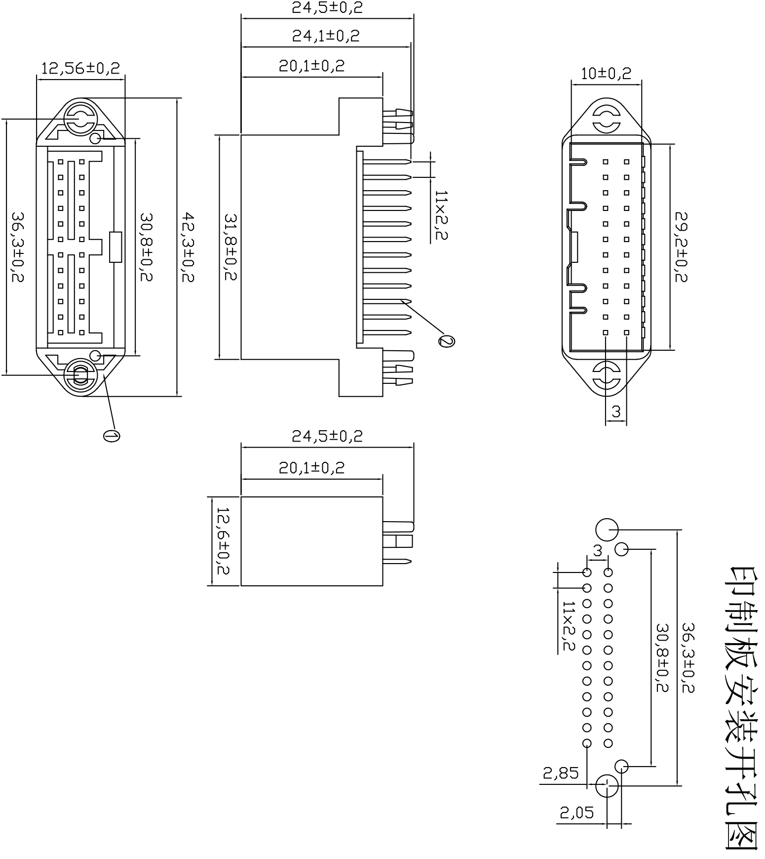 雷诺24P针座 Model (1).jpg