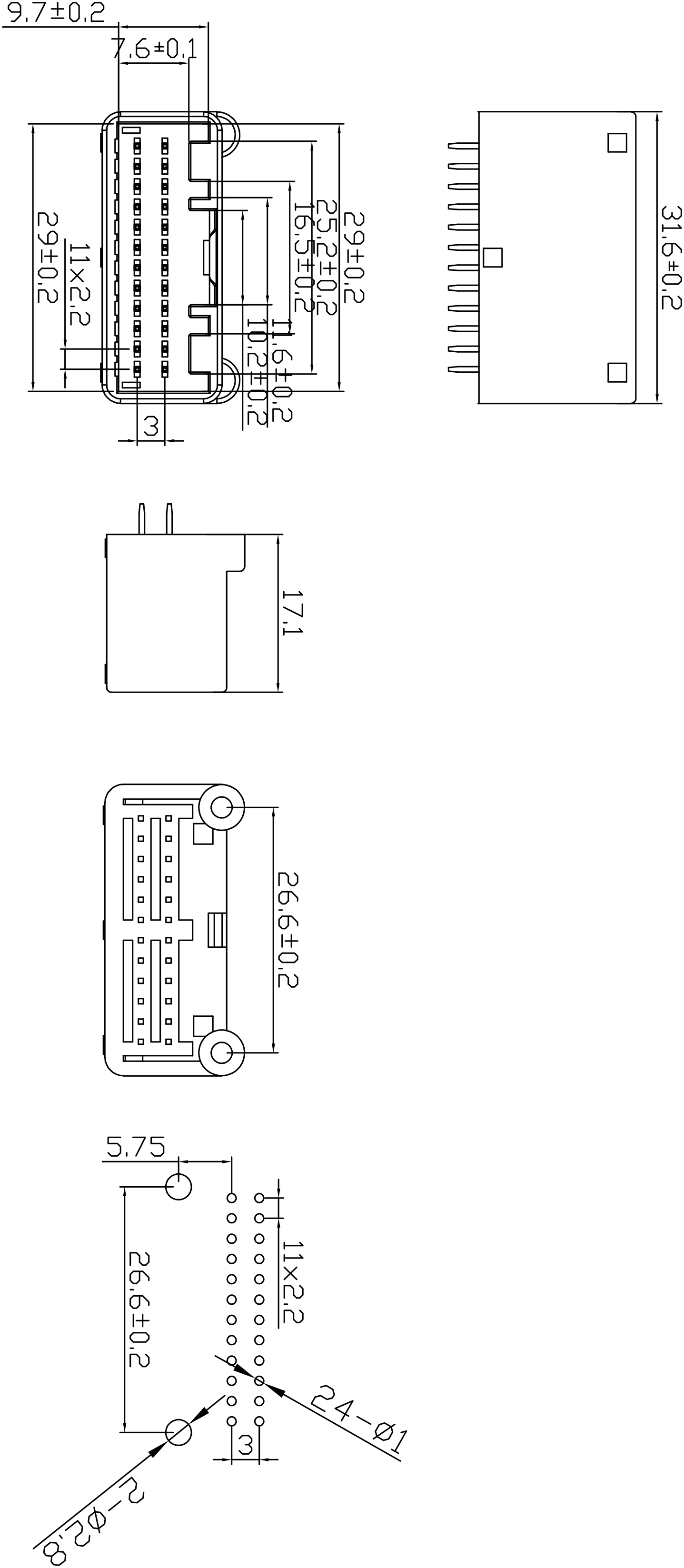 天籁24P直针(短） Model (1) 副本.jpg